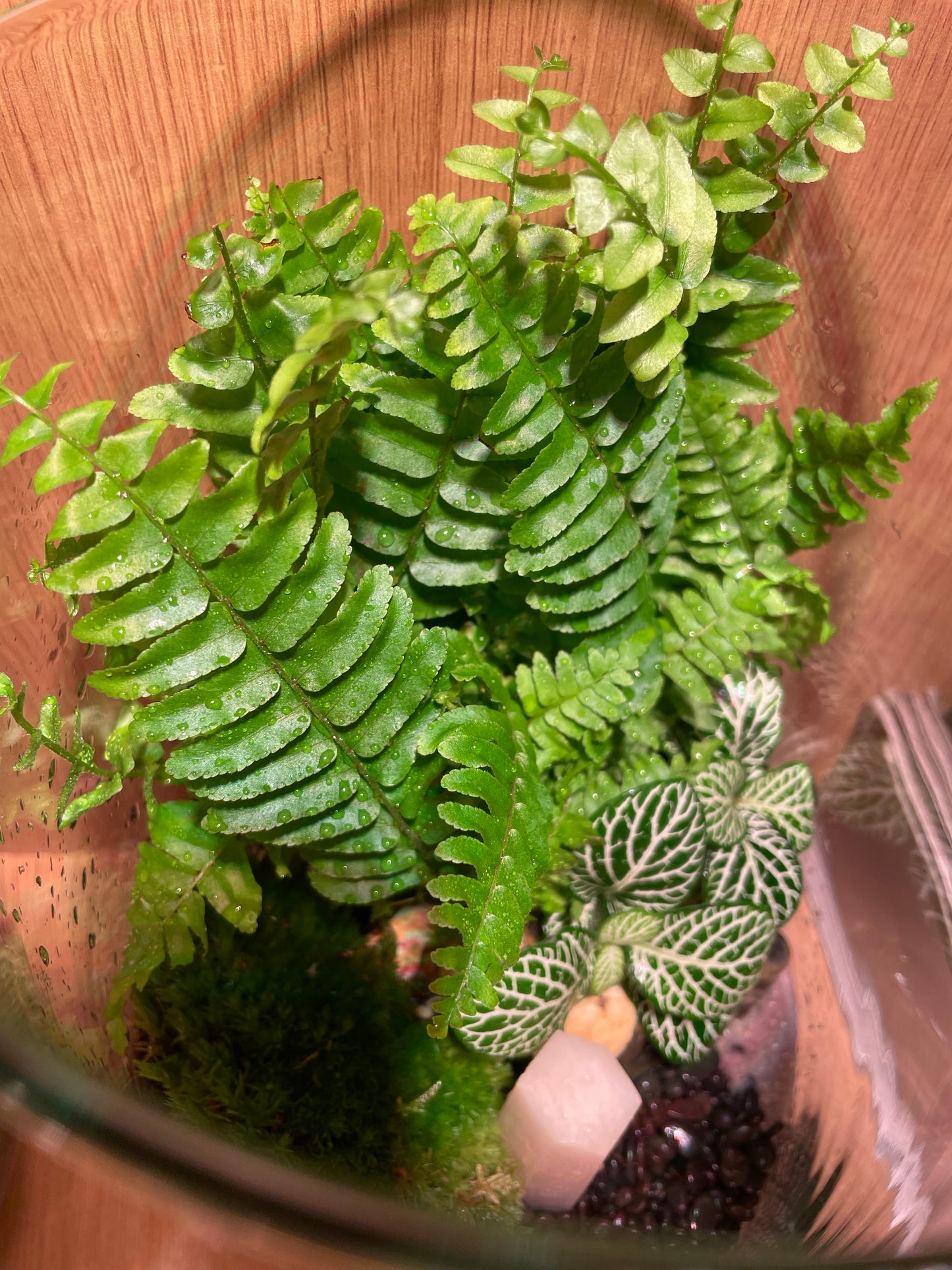 Rose Quartz Glass Garden