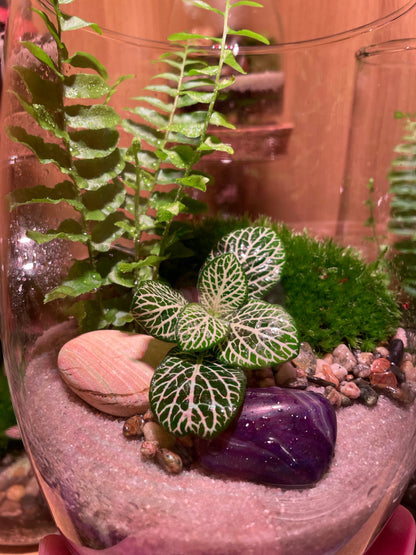 Amethyst Glass Garden