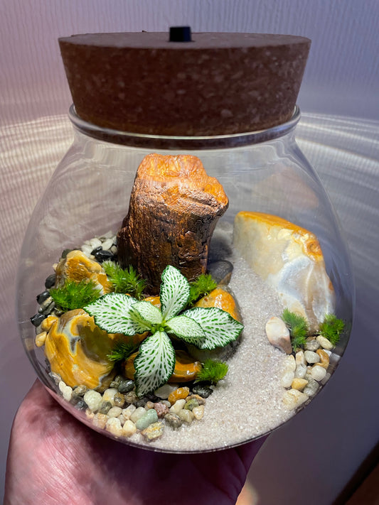 Tropical LED Terrarium