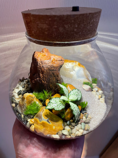 Tropical LED Terrarium