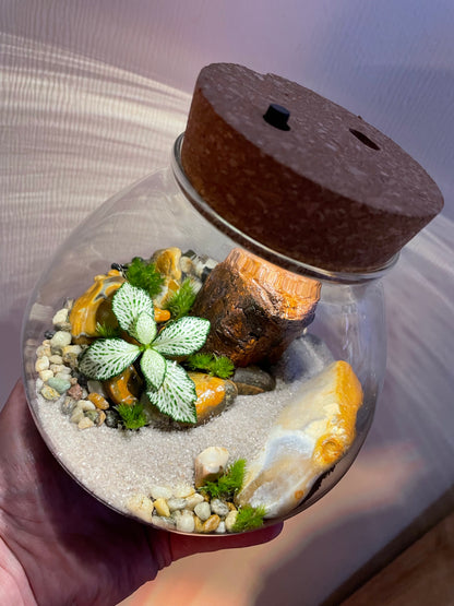 Tropical LED Terrarium