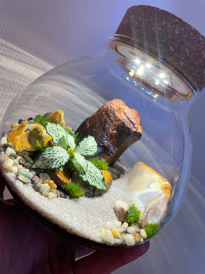 Tropical LED Terrarium