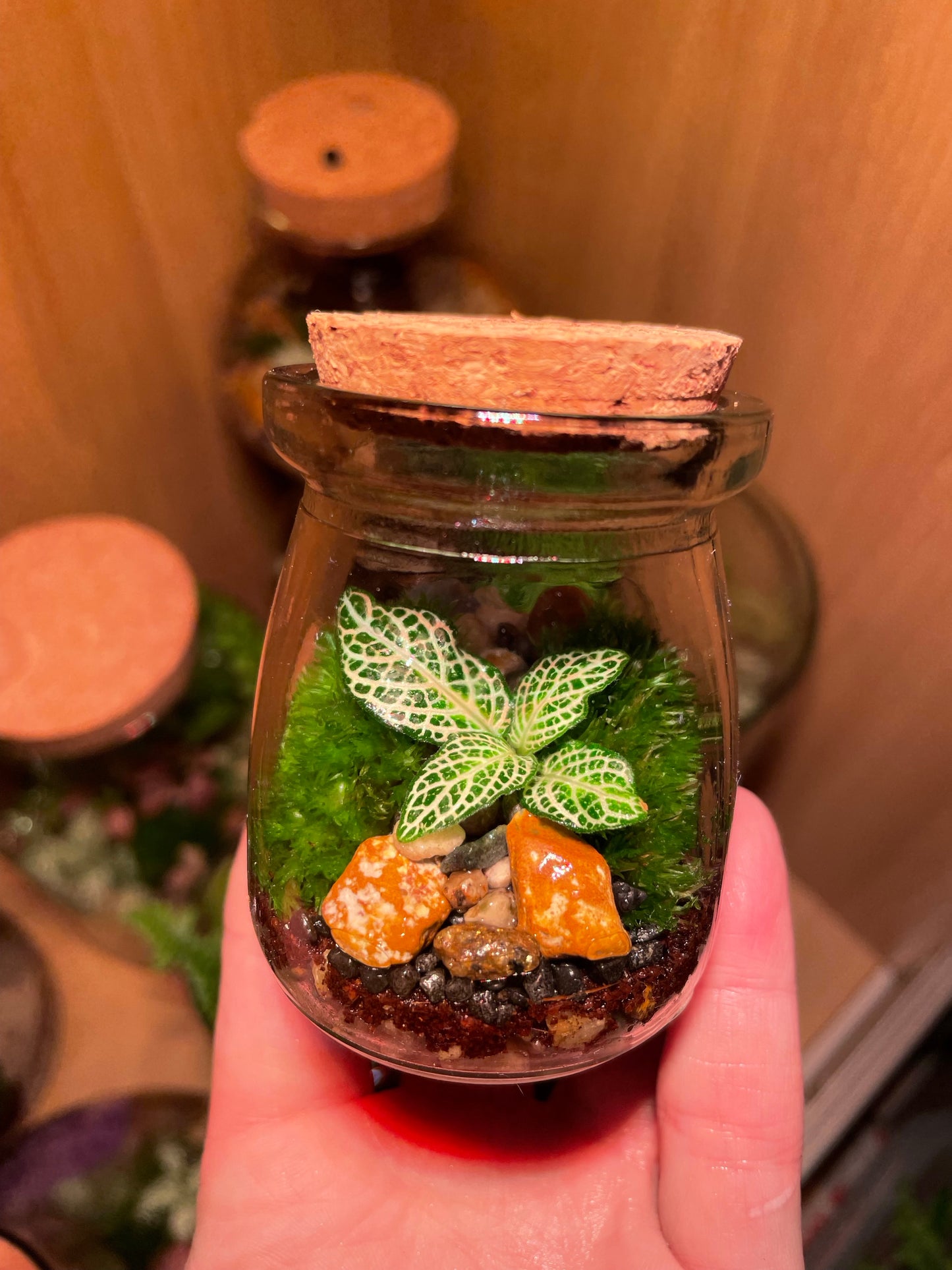 Micro Terrarium