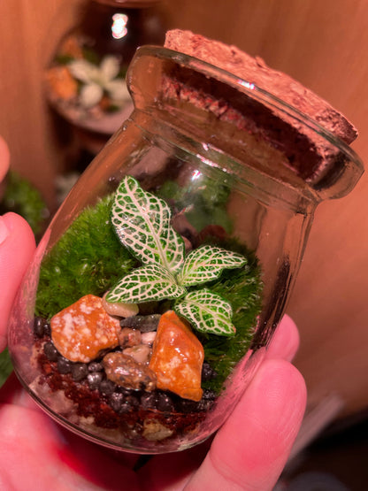 Micro Terrarium