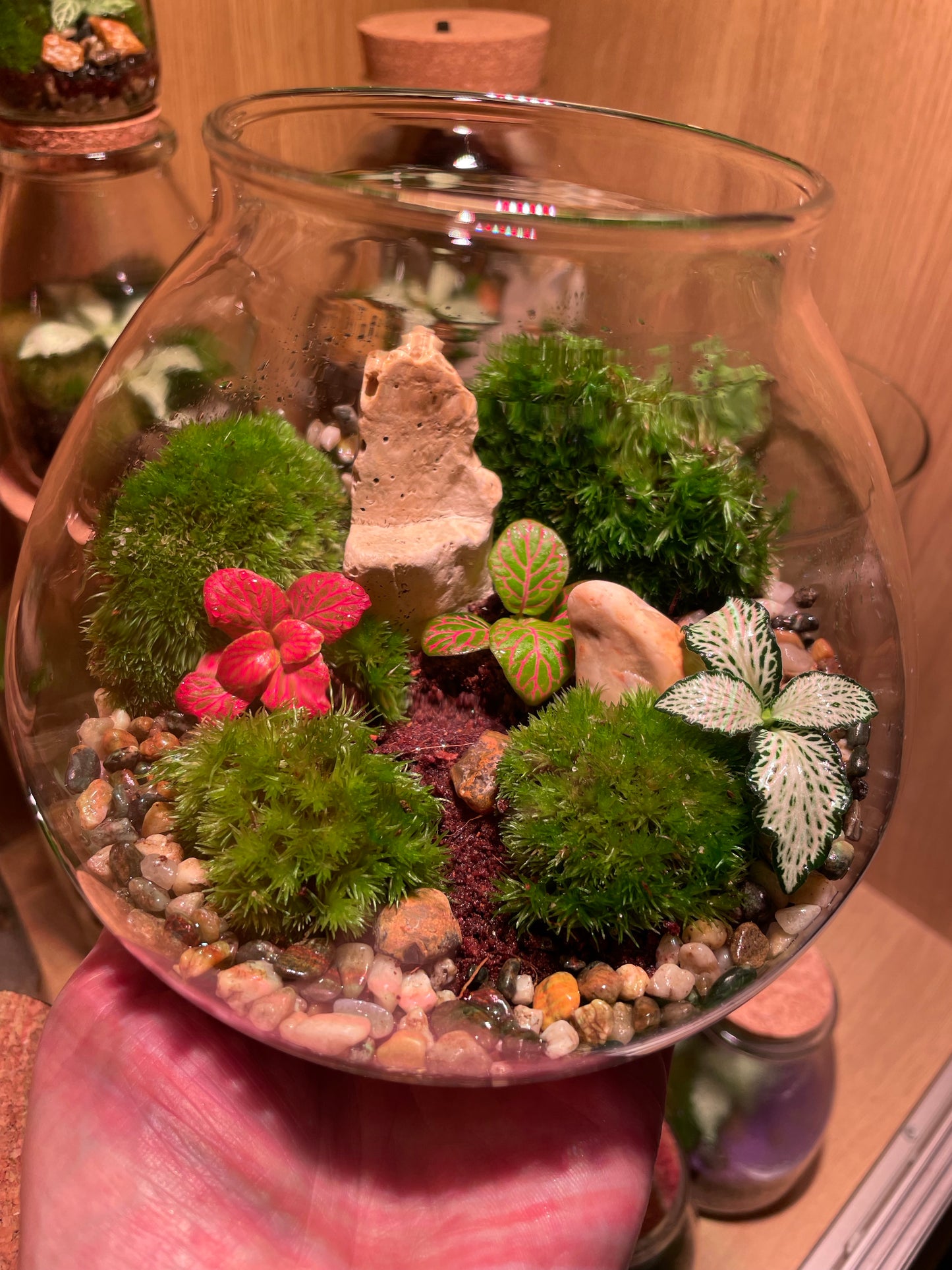 Mossy LED Terrarium