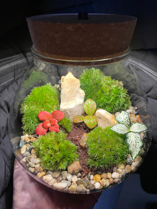 Mossy LED Terrarium