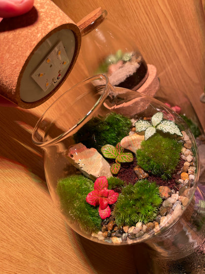 Mossy LED Terrarium