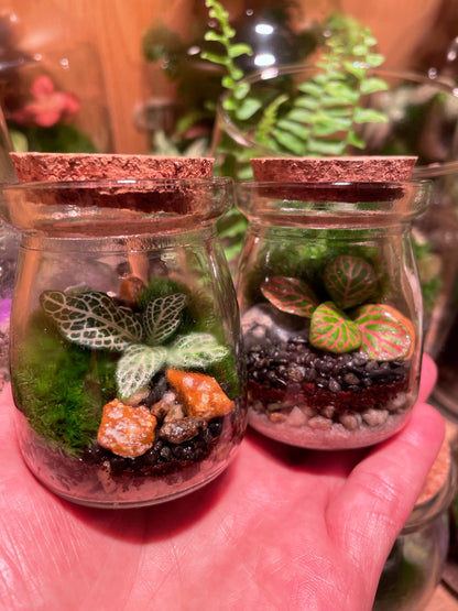 Micro Terrarium