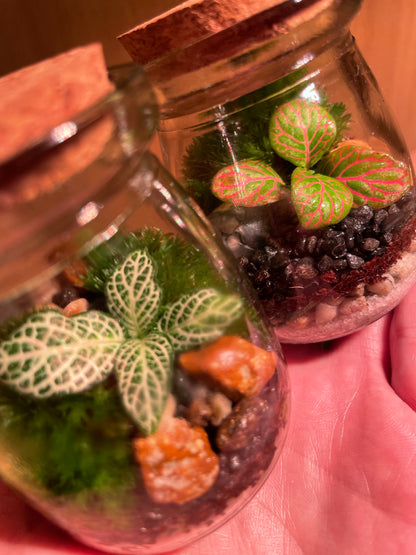 Micro Terrarium