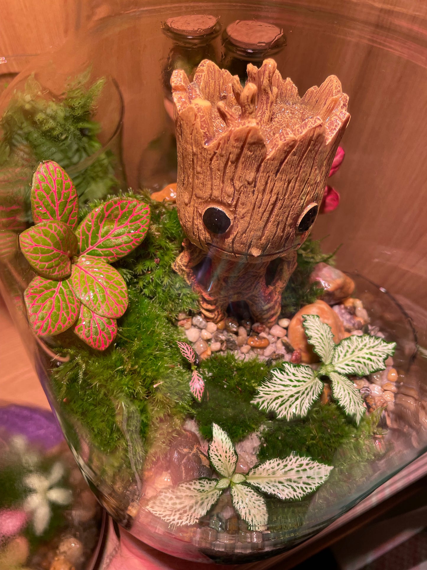 Groots Green Retreat