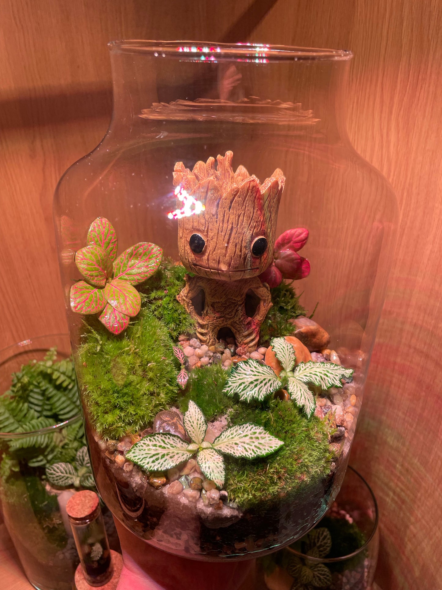 Groots Green Retreat