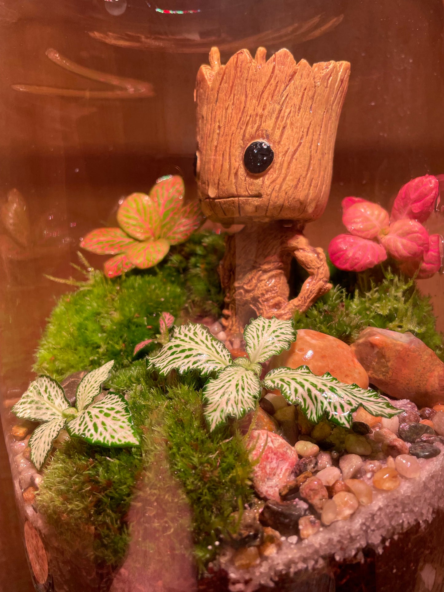 Groots Green Retreat