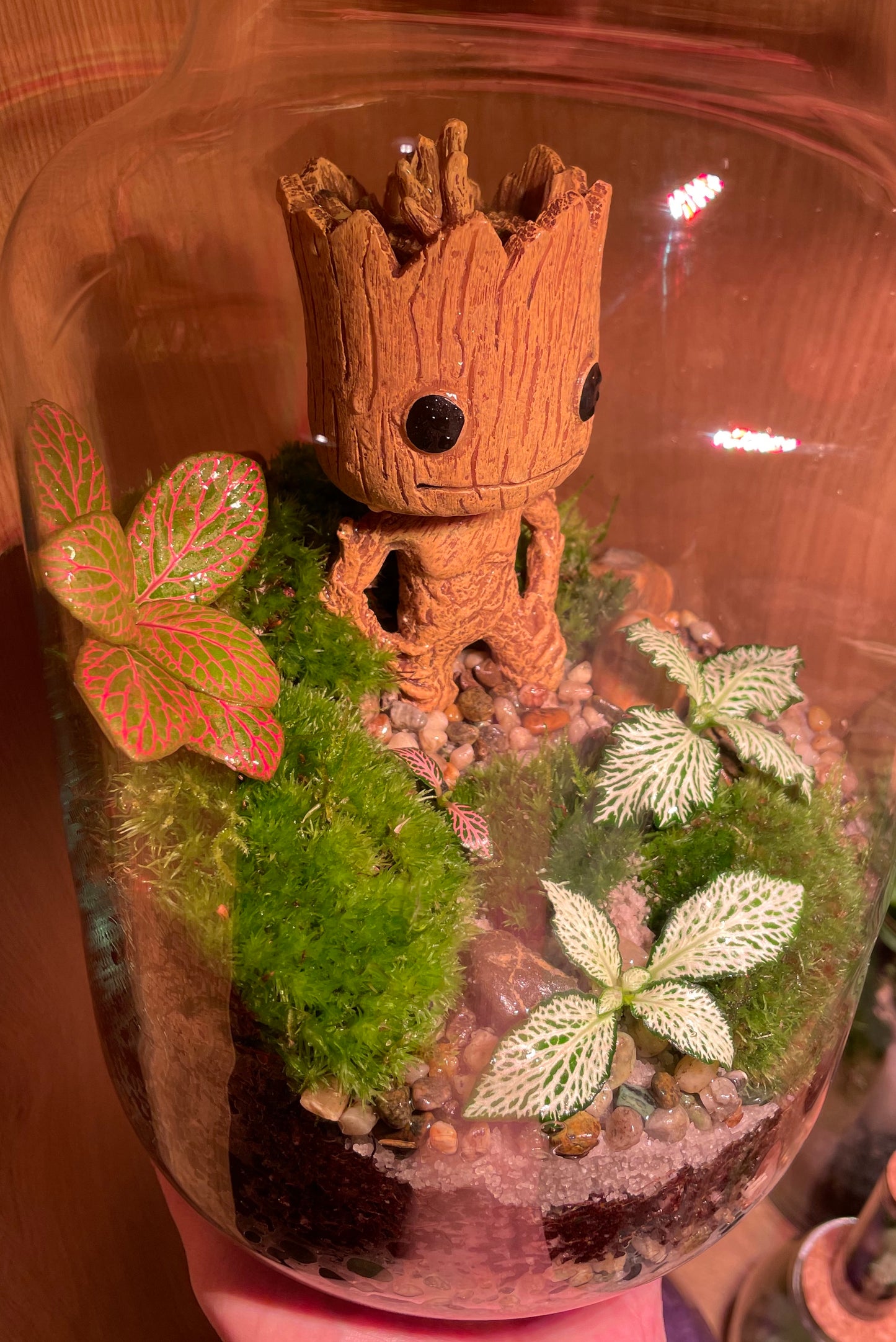 Groots Green Retreat