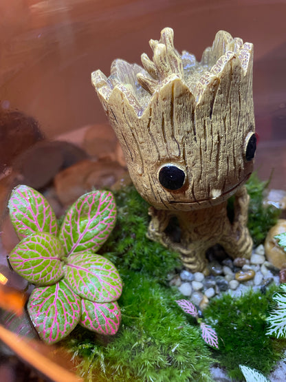 Groots Green Retreat