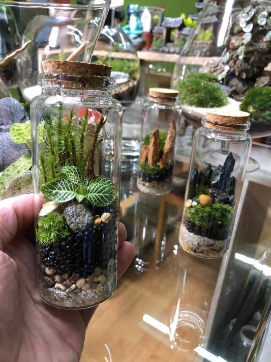 Micro Terrarium Xmas Preorder