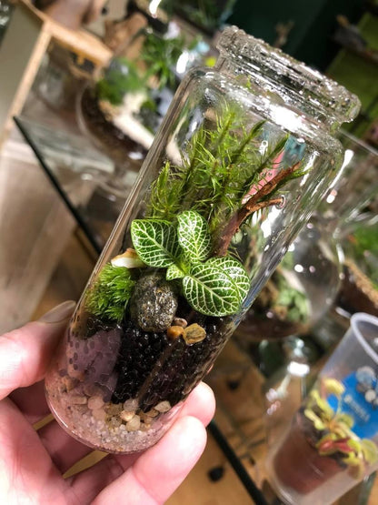 Tiny Terrarium