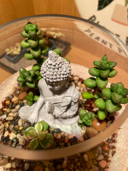 Buddha Bowl