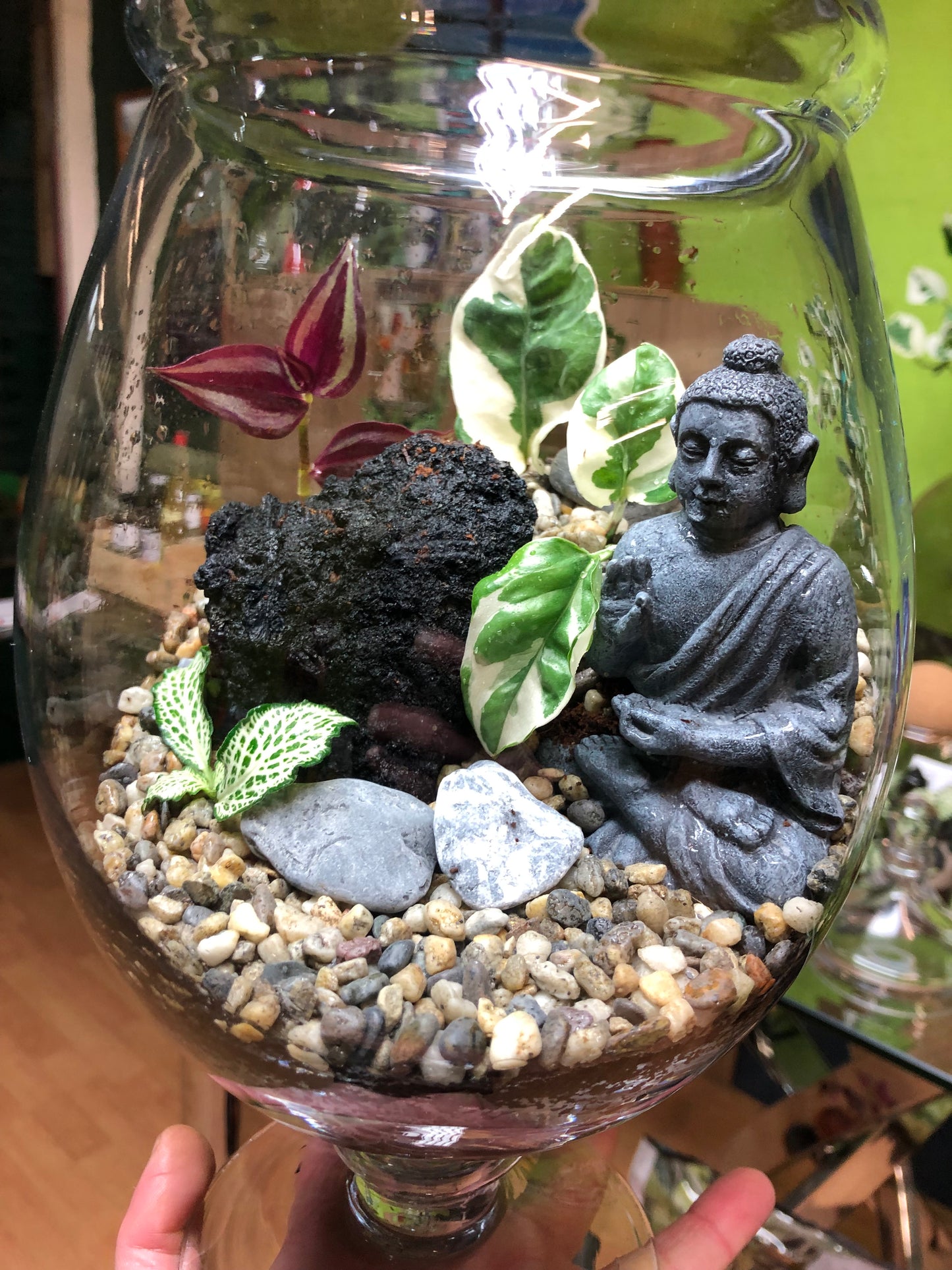 Buddha Terrarium