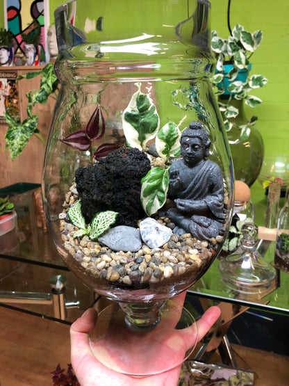 Buddha Terrarium