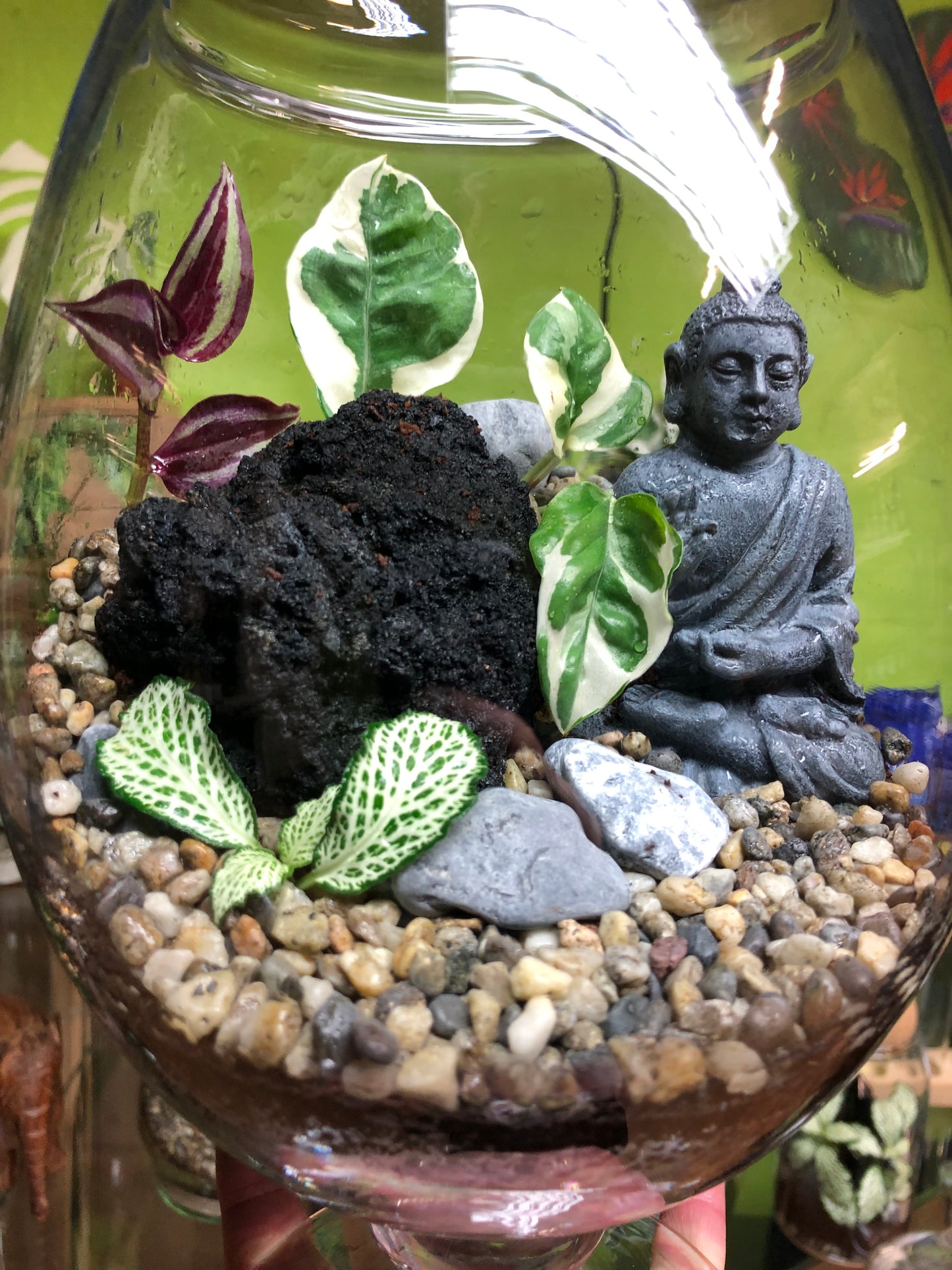 Buddha Terrarium