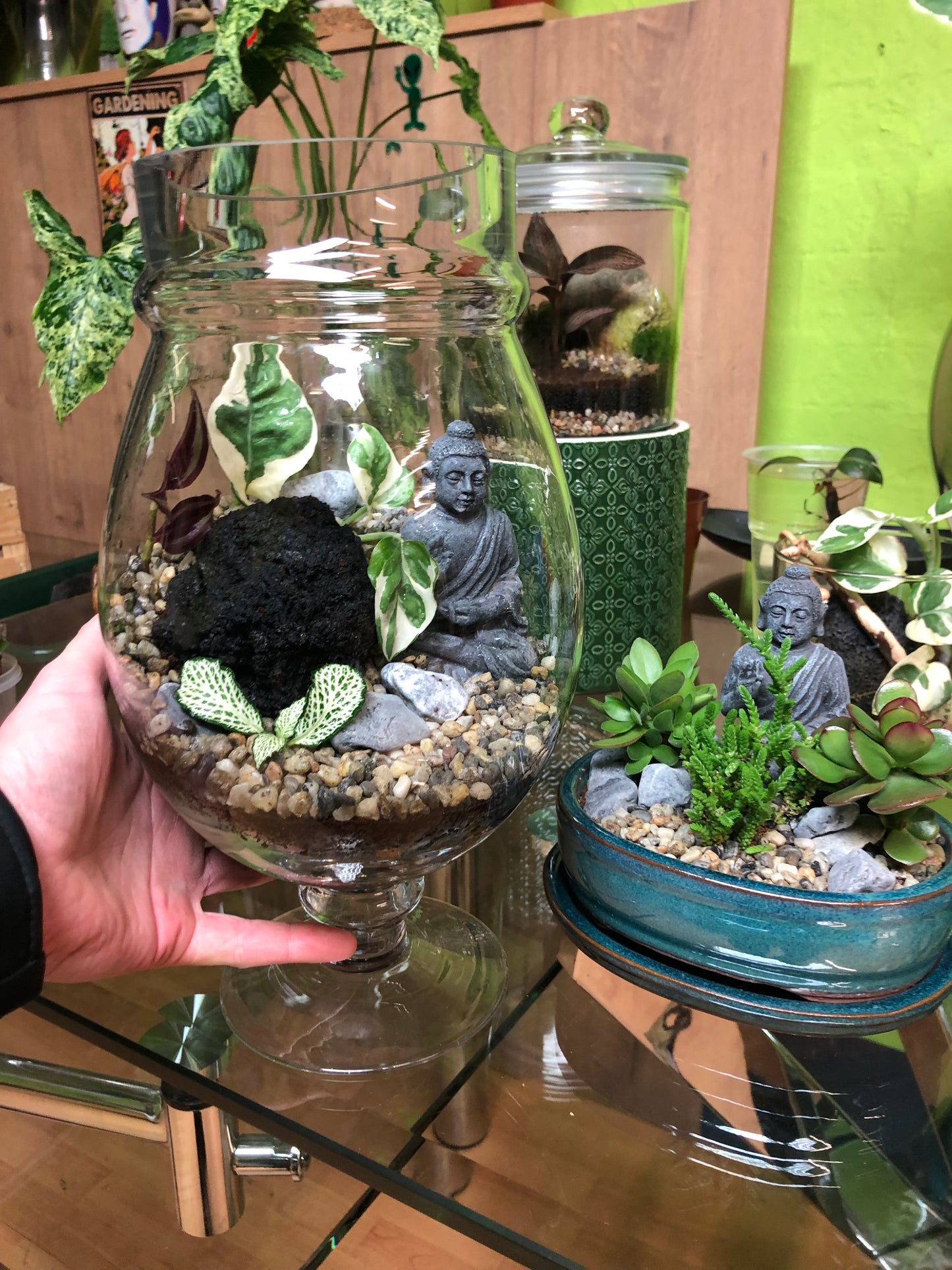 Buddha Terrarium