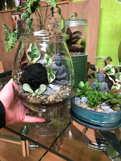 Buddha Terrarium