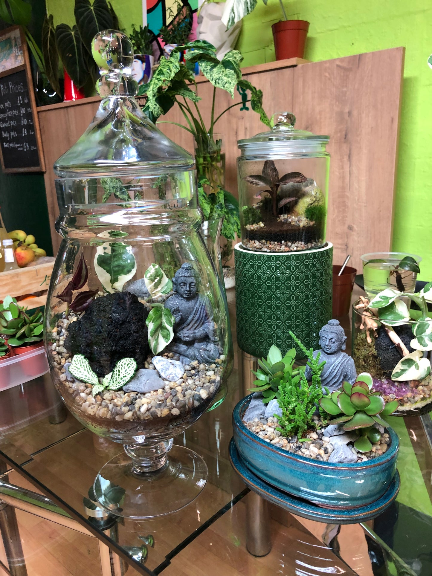 Buddha Terrarium