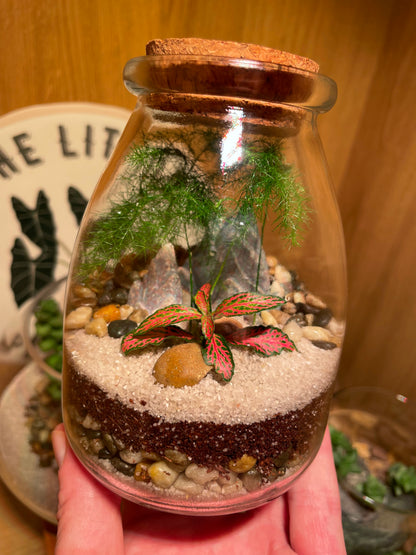 Midi Terrarium