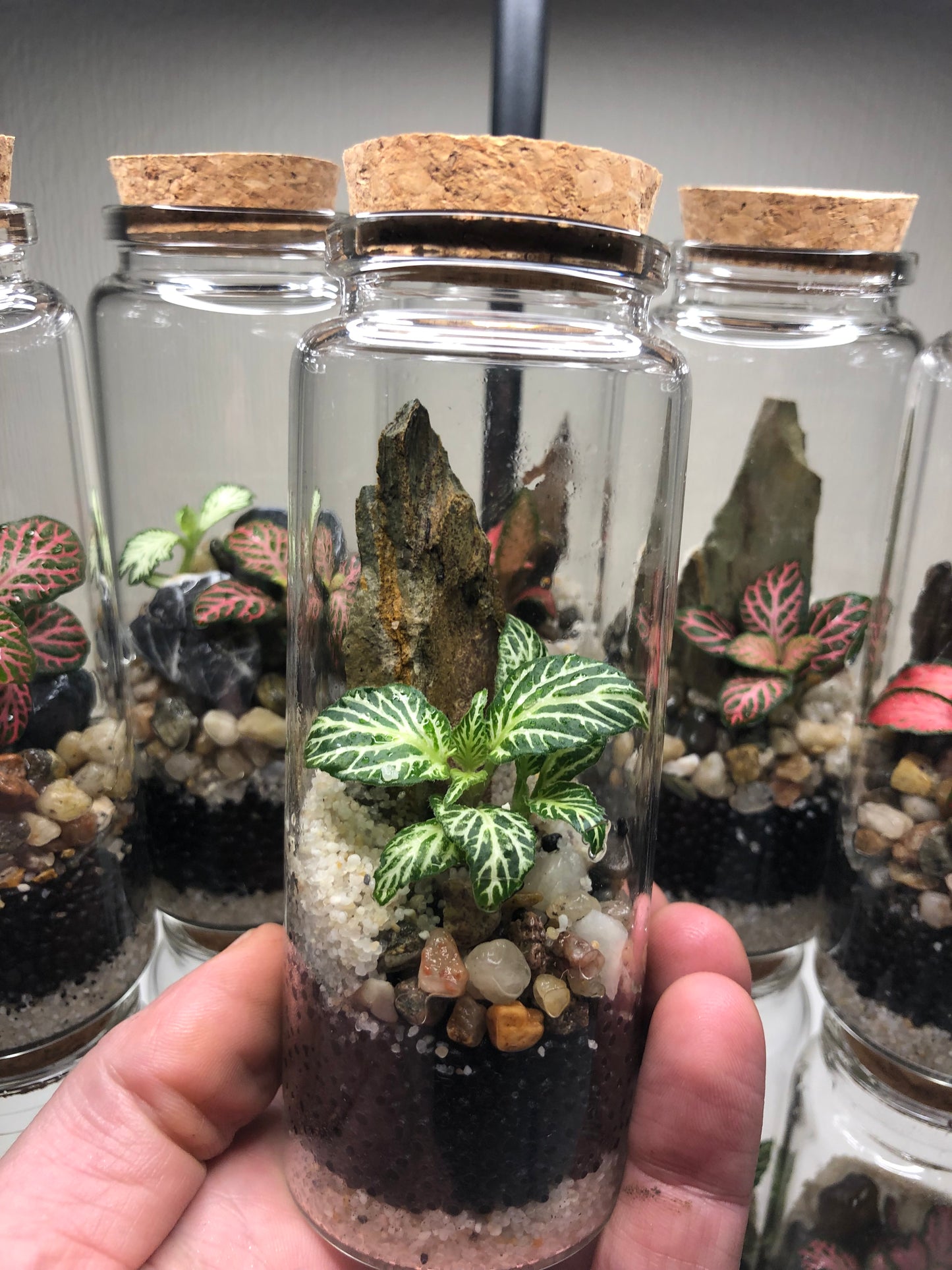 Tiny Terrarium