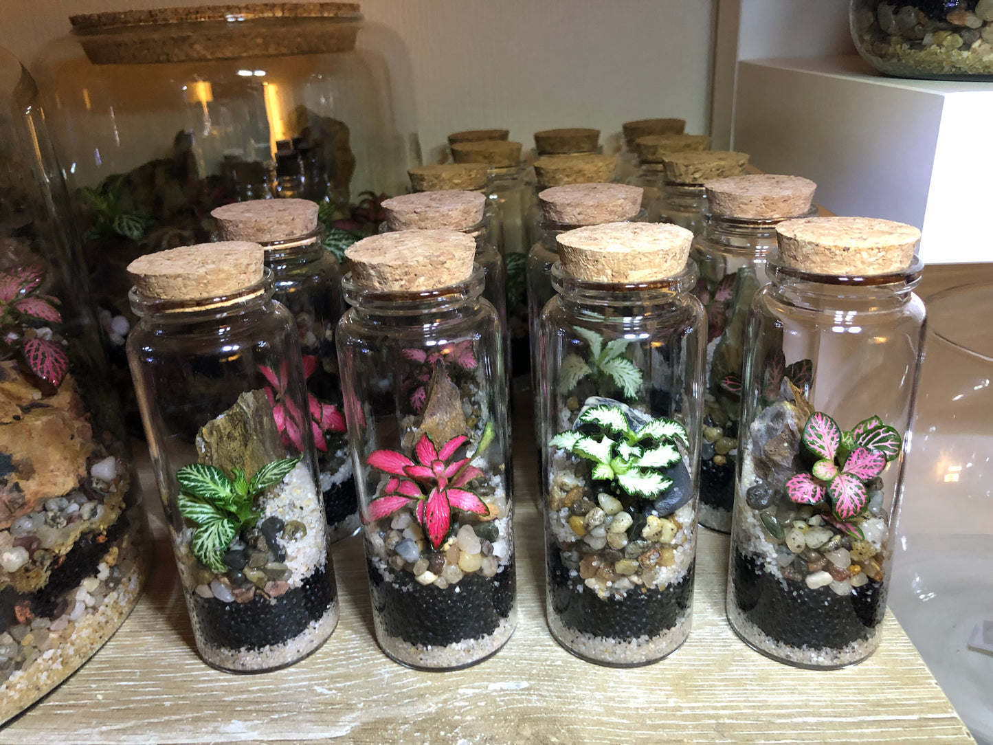Tiny Terrarium