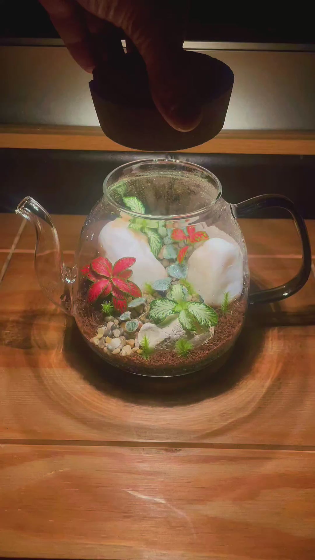 Teapot Terrarium